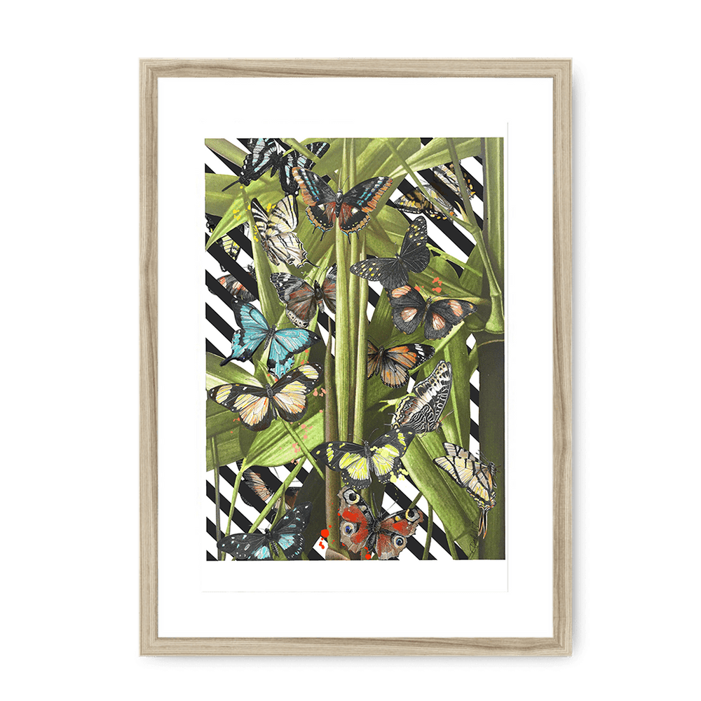 Butterfly Tropicana Framed Print The Gathering A3 (297 X 420 mm) / Natural / White Mount Framed Print