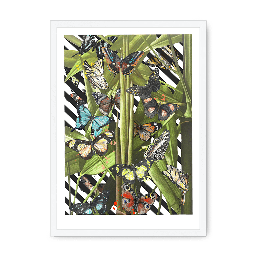 Butterfly Tropicana Framed Print The Gathering A3 (297 X 420 mm) / White Framed Print