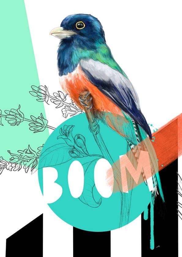 Blue Crowned Trogon - Boom Greeting Card Beaky Blooms Greeting Cards Card