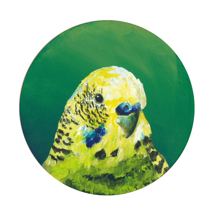 Green Budgie Giclée Art Print Exotic Bird Paintings 8" Square (20.32 X 20.32 cm) Square GIclee Art Print