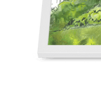 Calton Hill Edinburgh Framed Print Essential Edinburgh Framed Print