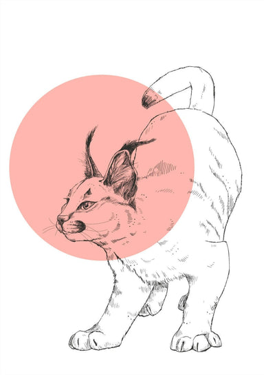 Caracal Matte Art Print Cats & Dots Art Print