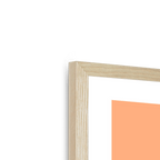 Surprise Savagery Framed Print Cat Cave Antics Framed Print