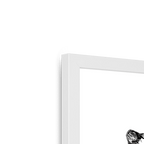 Cataloupe Framed Print The Gathering Framed Print