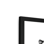 Cataloupe Framed Print The Gathering Framed Print