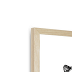 Cataloupe Framed Print The Gathering Framed Print