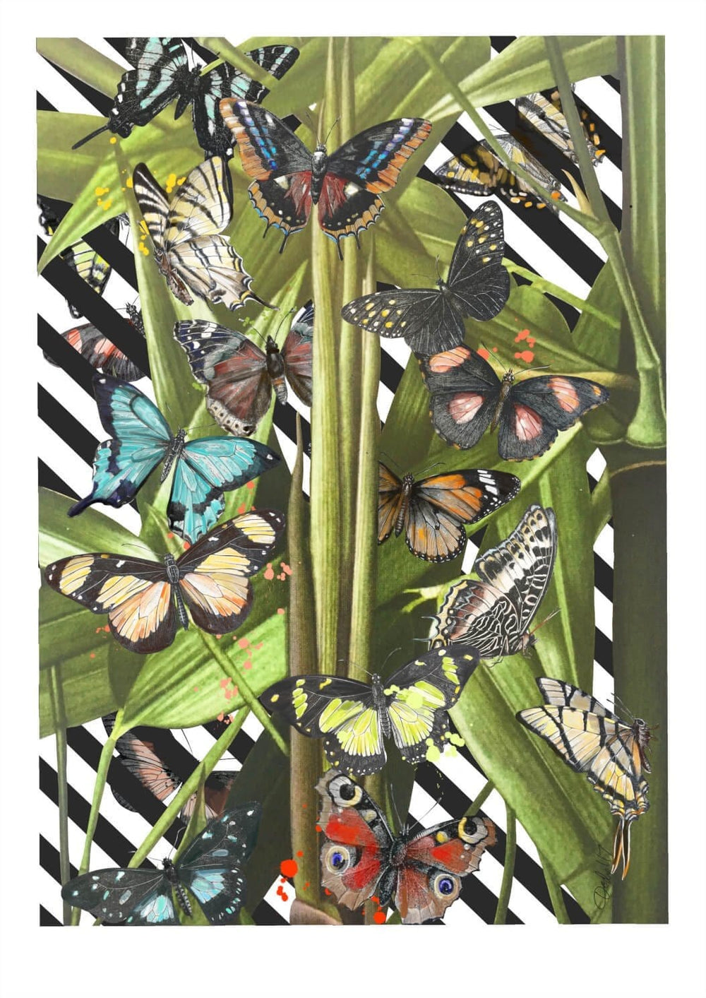 Butterfly Tropicana Matte Art Print The Gathering Art Print