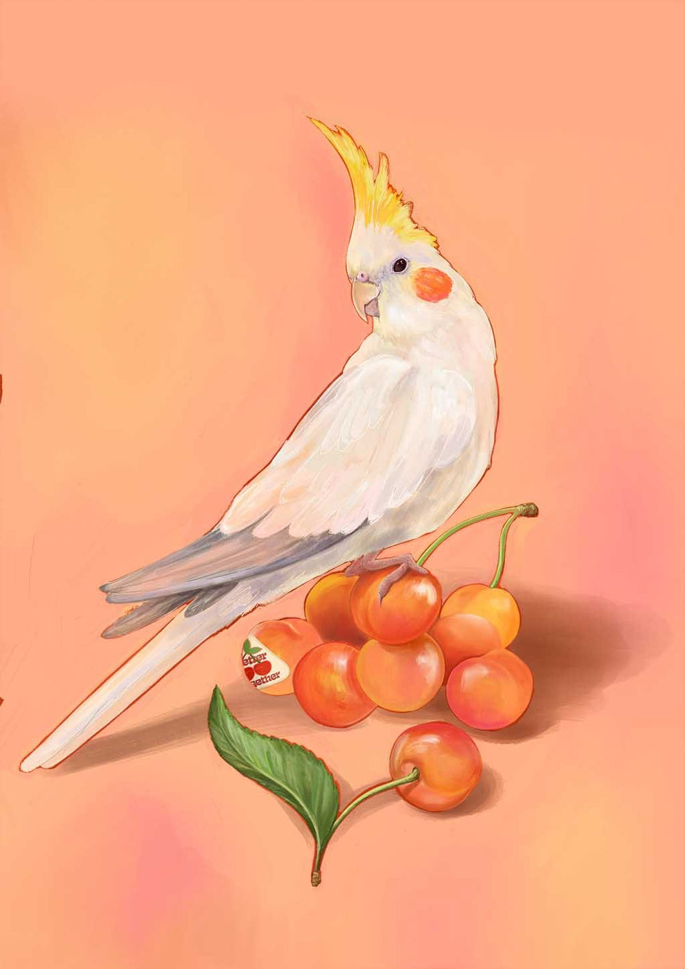 Cherry Cockatiel Giclée Art Print Sticky Beaks Art Print