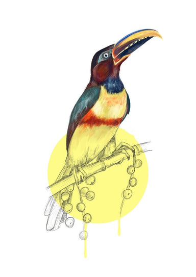 Chestnut Eared Araçari Giclée Art Print Drippy Birds Art Print