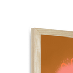 Chromatose Botanica - Cacti Framed Print Chromatose Framed Print