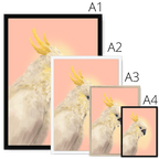 CockaTwos White Framed Print CockaTwos Framed Print