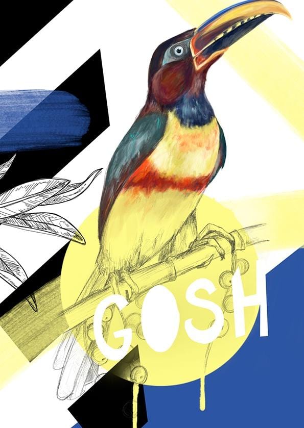 Chestnut-eared araçari - Gosh Greeting Card Beaky Blooms Greeting Cards Card