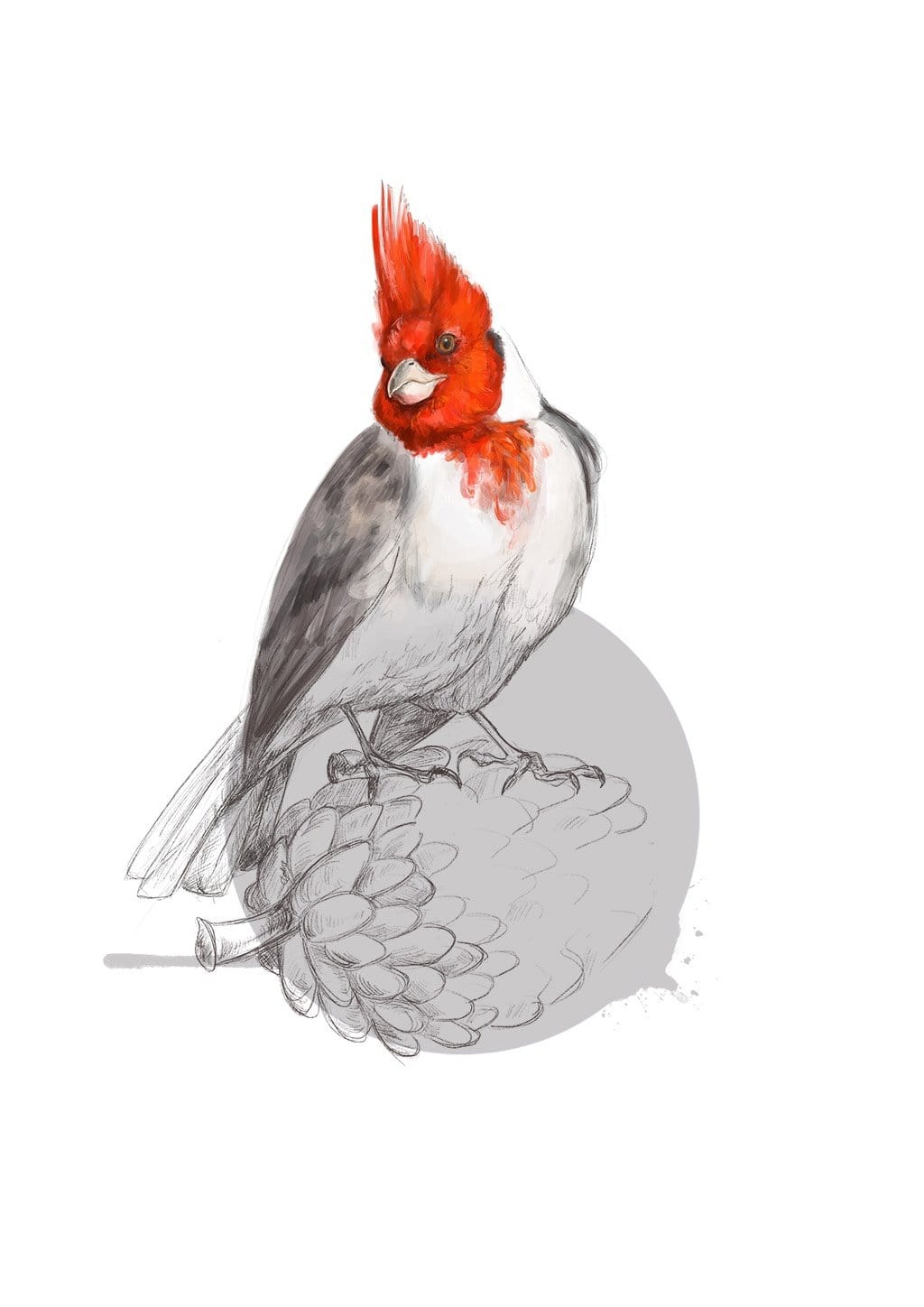 Red Crested Cardinal Giclée Art Print Drippy Birds Art Print