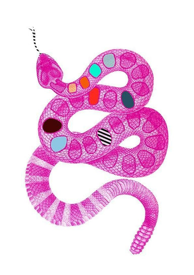 Rattlematazz Snake Matte Art Print Snakes & Adders Art Print