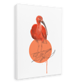 Scarlet Ibis Canvas Print Drippy Birds 28"x40"(70x100 cm) Canvas Print