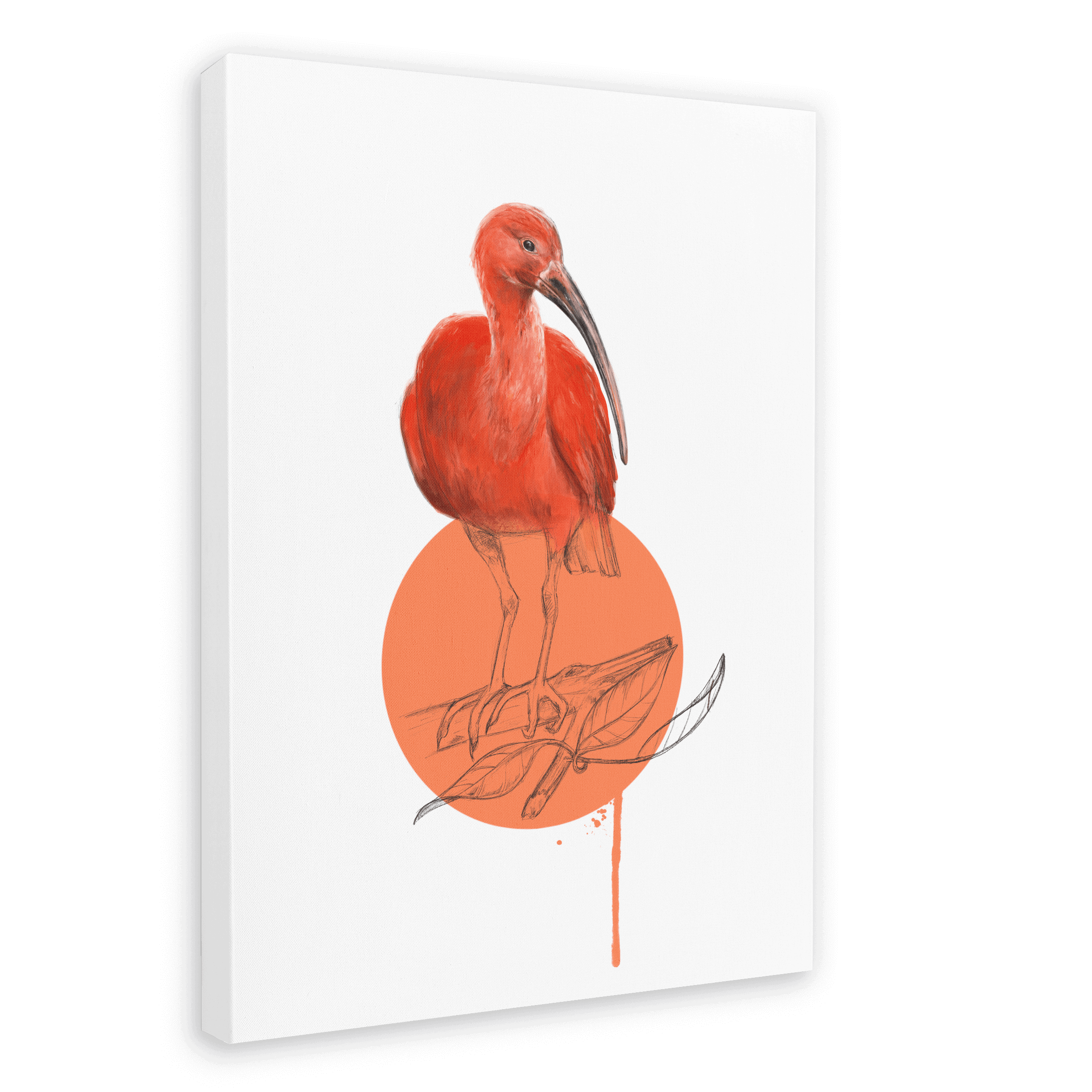 Scarlet Ibis Canvas Print Drippy Birds 28"x40"(70x100 cm) Canvas Print