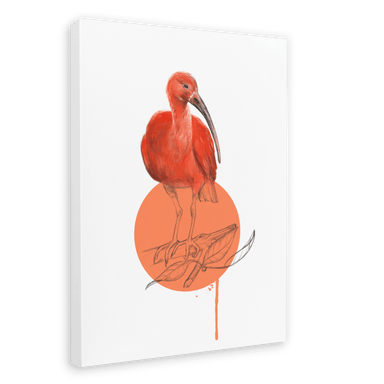 Scarlet Ibis Canvas Print Drippy Birds 28"x40"(70x100 cm) Canvas Print