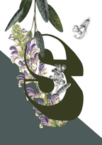 Botanical Alphabet S Matte Art Print Botanical Alphabet Art Print