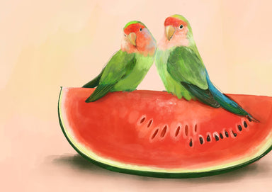 Watermelon Lovebirds Art Print The Gathering Art Print