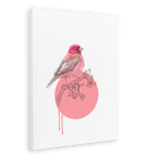Rose Finch Canvas Print Drippy Birds 28"x40"(70x100 cm) Canvas Print
