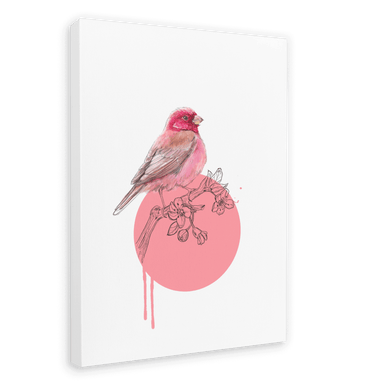 Rose Finch Canvas Print Drippy Birds 28"x40"(70x100 cm) Canvas Print