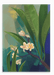 Plumeria (Frangipani) Canvas Print Tree Flowers 28"x40"(70x100 cm) Canvas Print