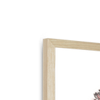 Florale Framed Print Les Parfums Framed Print