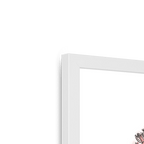 Florale Framed Print Les Parfums Framed Print