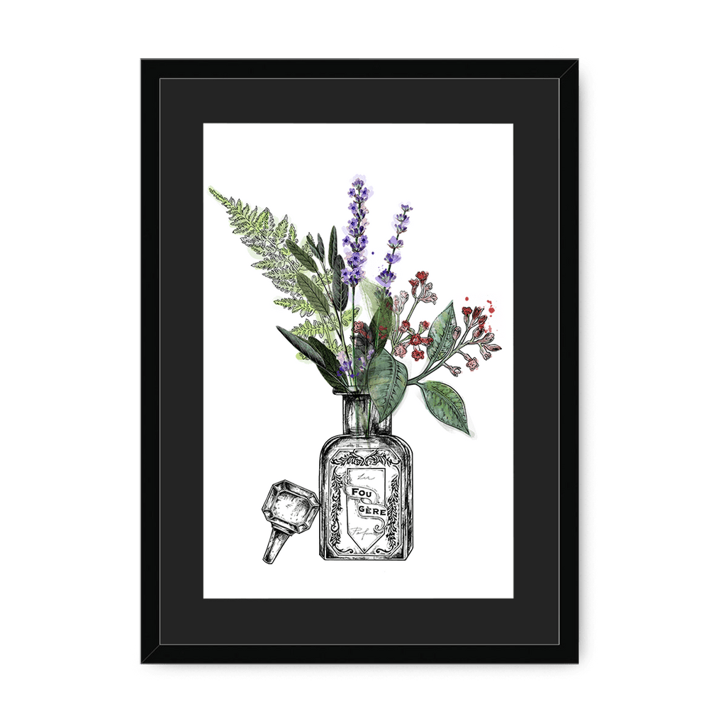 Fougere Framed Print Les Parfums A3 (297 X 420 mm) / Black / Black Mount Framed Print