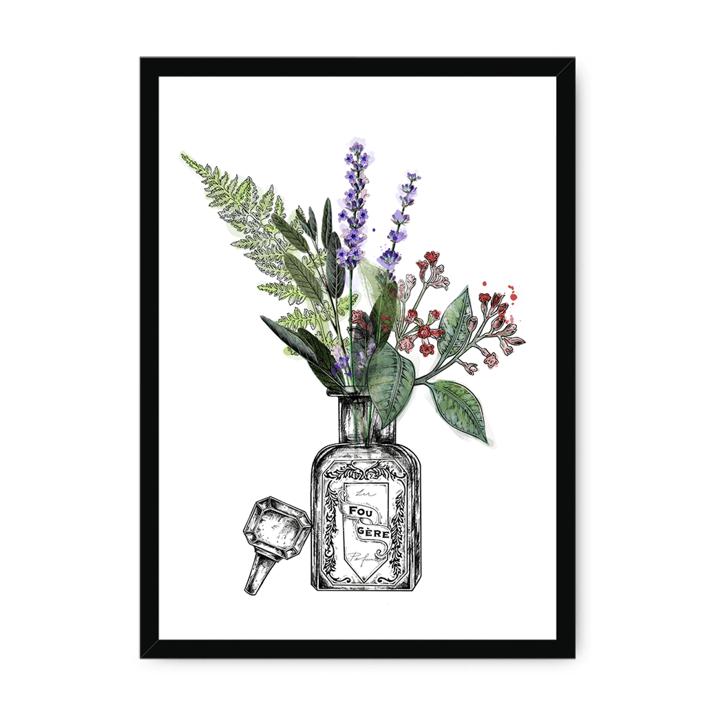 Fougere Framed Print Les Parfums A3 (297 X 420 mm) / Black / No Mount (All Art) Framed Print