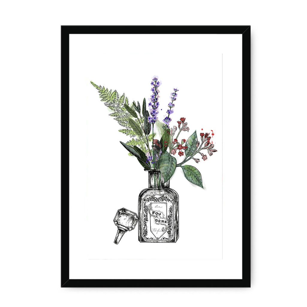 Fougere Framed Print Les Parfums A3 (297 X 420 mm) / Black / White Mount Framed Print