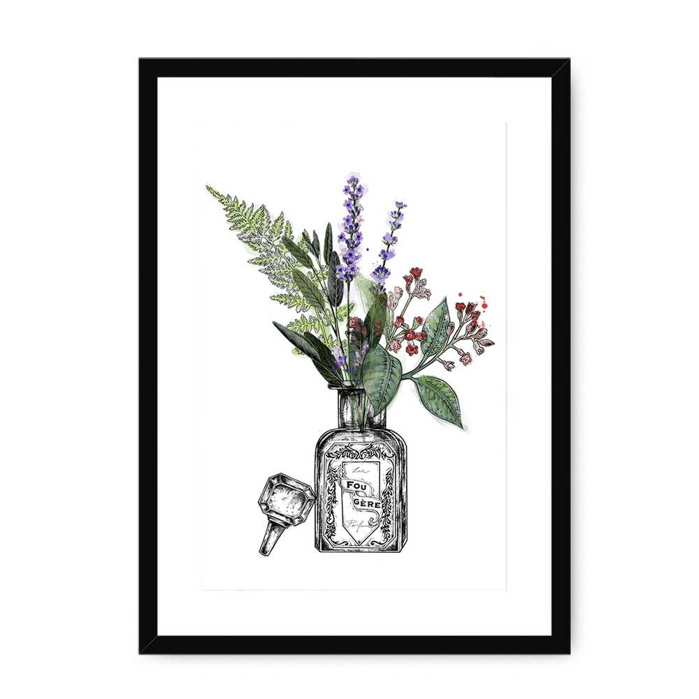 Fougere Framed Print Les Parfums A3 (297 X 420 mm) / Black / White Mount Framed Print