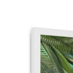 Fougère Fou Framed Print WallFlowers Framed Print