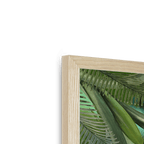 Fougère Fou Framed Print WallFlowers Framed Print