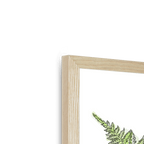 Fougere Framed Print Les Parfums Framed Print