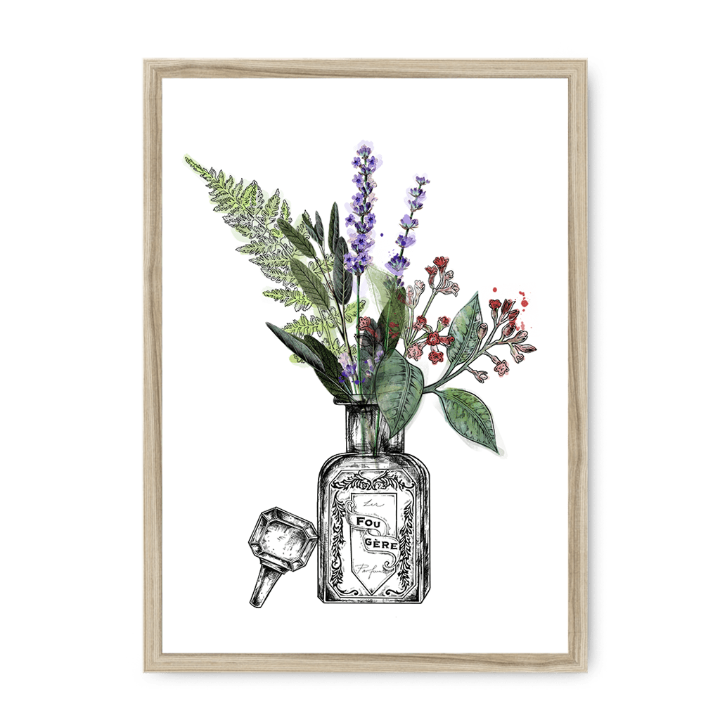 Fougere Framed Print Les Parfums A3 (297 X 420 mm) / Natural / No Mount (All Art) Framed Print