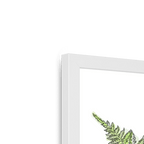 Fougere Framed Print Les Parfums Framed Print