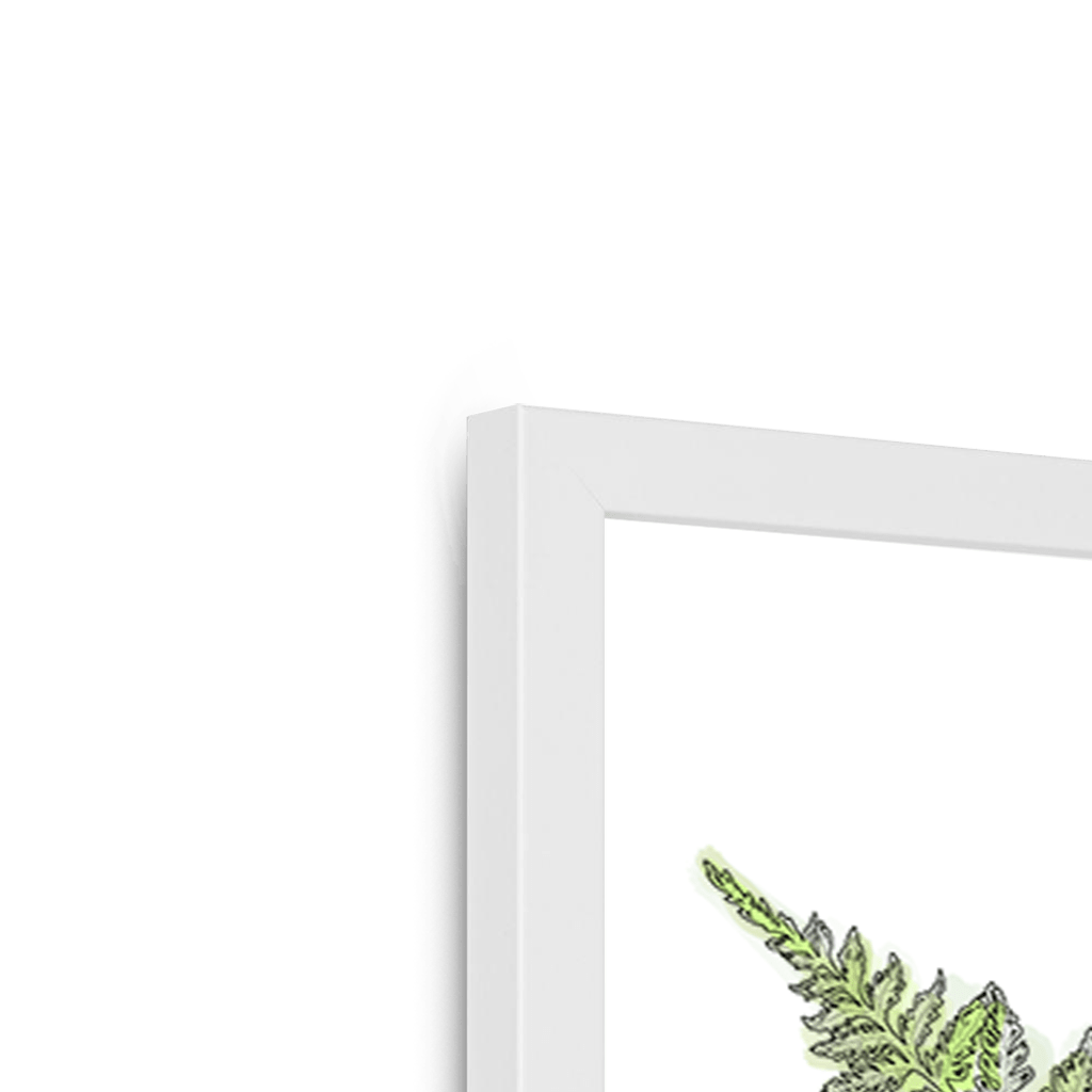 Fougere Framed Print Les Parfums Framed Print