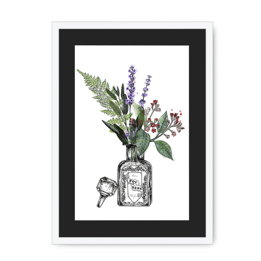 Fougere Framed Print Les Parfums A3 (297 X 420 mm) / White / Black Mount Framed Print