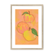 Apfel  Giclée Framed Print Intercontinental Fruitery A3 (297 X 420 mm) / Natural / White Mount Framed Print