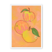 Apfel  Giclée Framed Print Intercontinental Fruitery A3 (297 X 420 mm) / White / No Mount (All Art) Framed Print