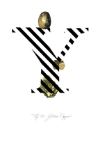 Gemstone Alphabet Y Matte Art Print Gemstone Alphabet A4 (21 X 29.7 cm) Art Print