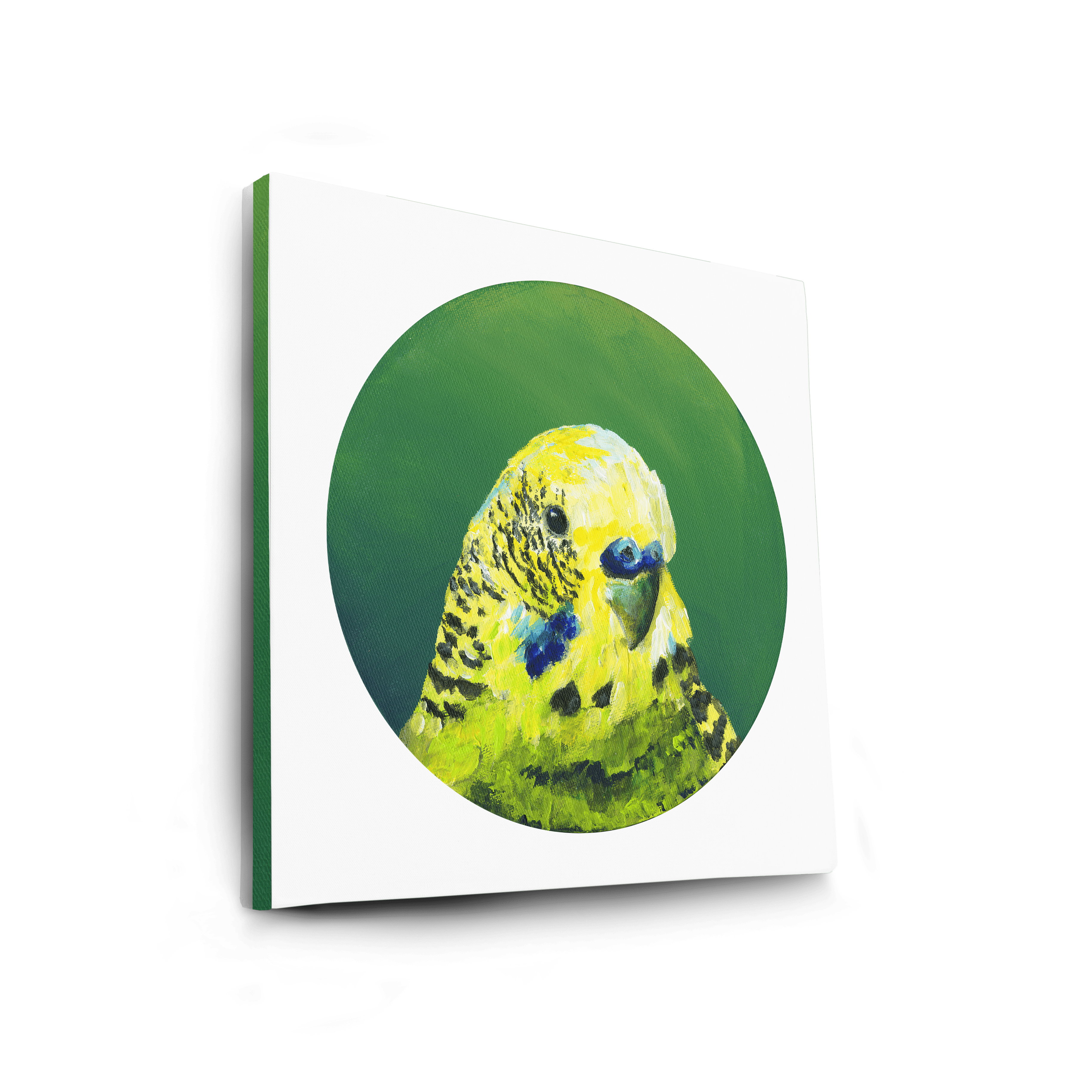 Green Budgie Canvas Print Exotic Bird Paintings Canvas Print