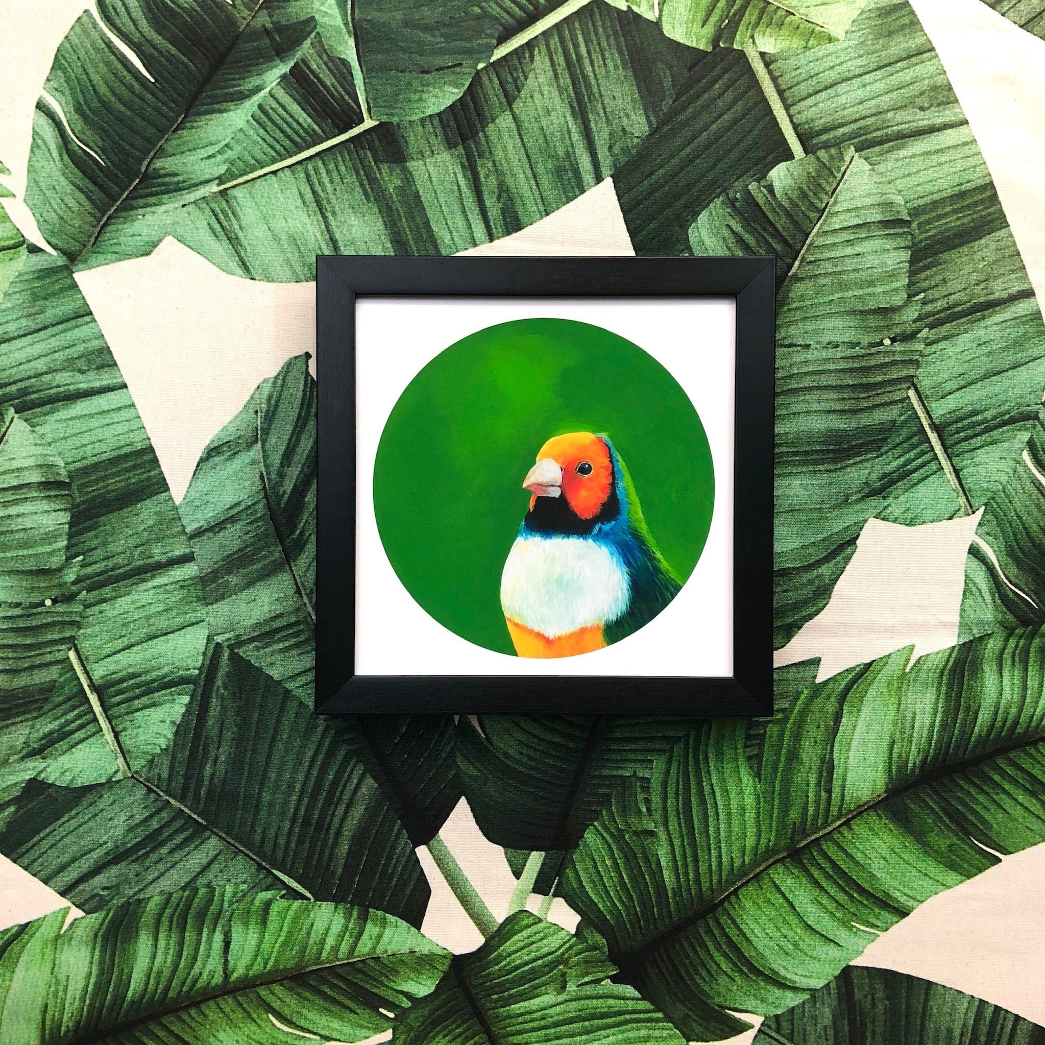 Gouldian Finch Giclée Art Print Exotic Bird Paintings 8" Square (20.32 X 20.32 cm) Square GIclee Art Print