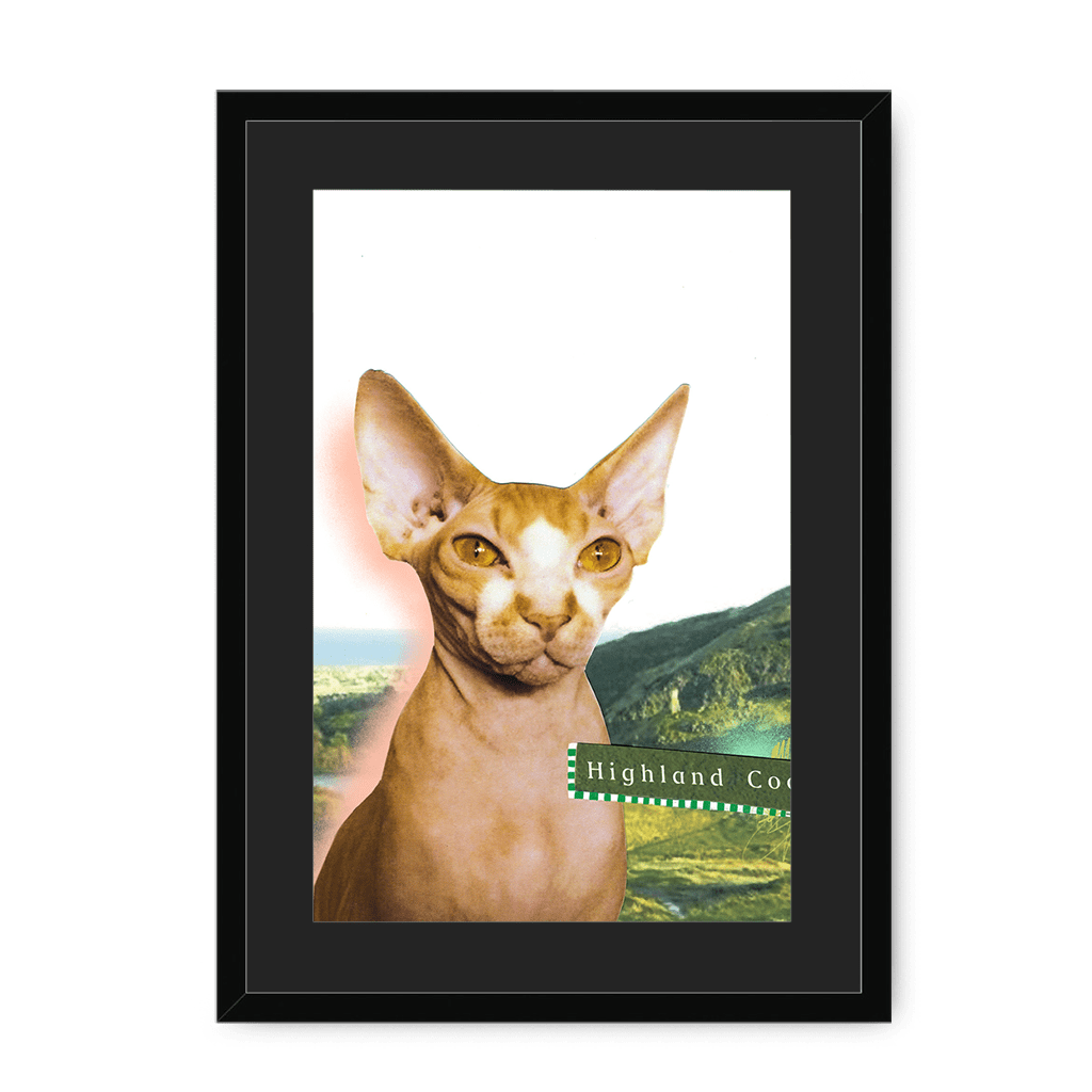 Highland Coo Framed Print Cat Cafe A3 (297 X 420 mm) / Black / Black Mount Framed Print