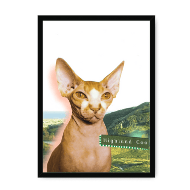 Highland Coo Framed Print Cat Cafe A3 (297 X 420 mm) / Black / No Mount (All Art) Framed Print