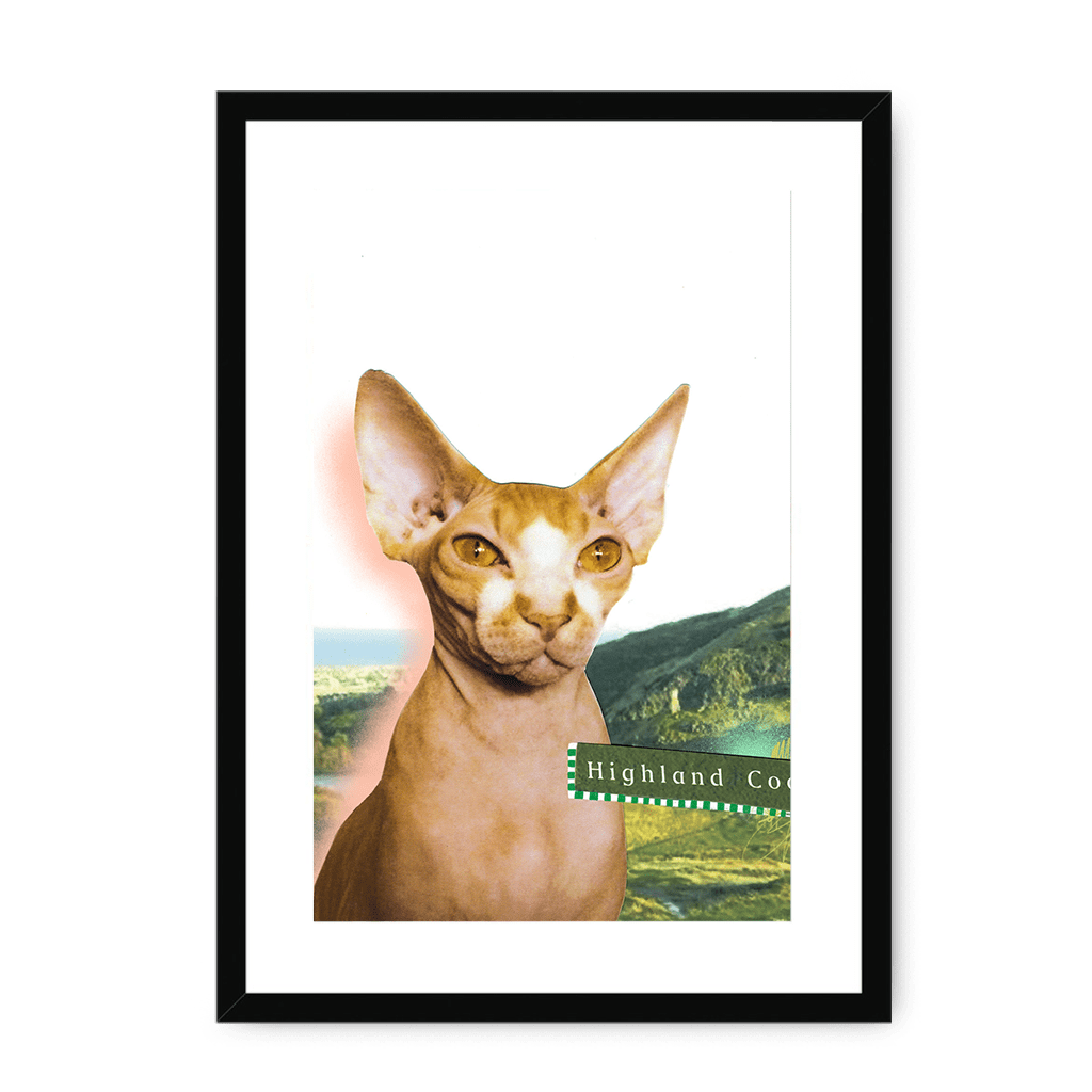 Highland Coo Framed Print Cat Cafe A3 (297 X 420 mm) / Black / White Mount Framed Print