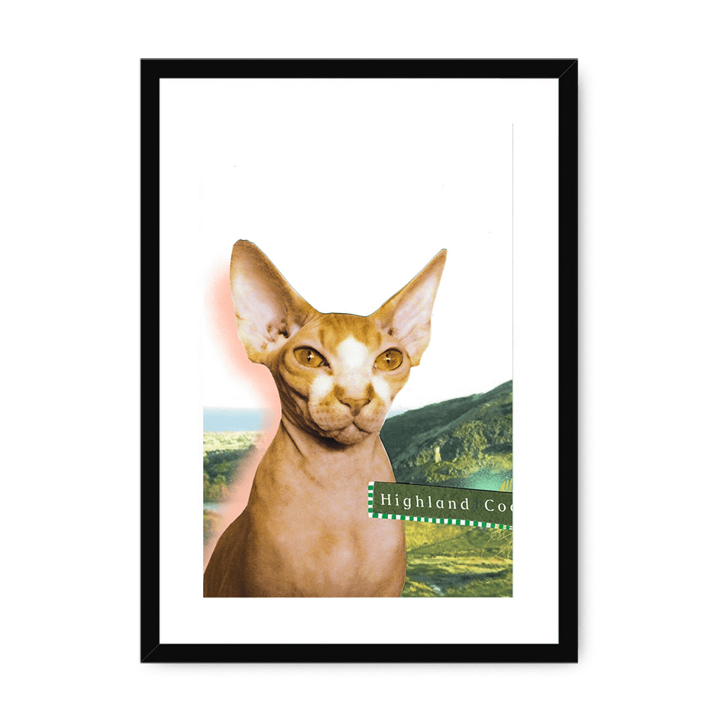 Highland Coo Framed Print Cat Cafe A3 (297 X 420 mm) / Black / White Mount Framed Print