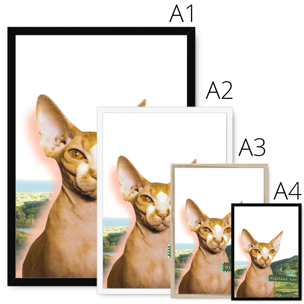 Highland Coo Framed Print Cat Cafe Framed Print