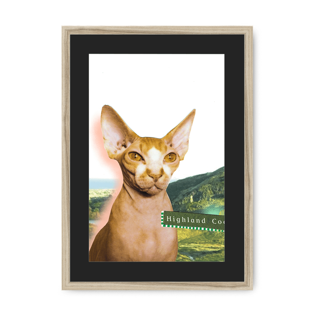 Highland Coo Framed Print Cat Cafe A3 (297 X 420 mm) / Natural / Black Mount Framed Print
